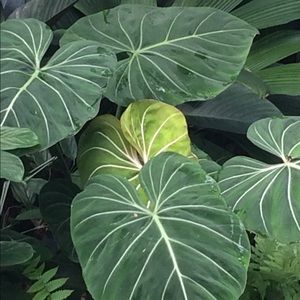 Meet your Posher, Nils